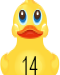 Lucky Ducky 00014