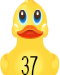 Lucky Ducky 00037