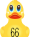 Lucky Ducky 00066